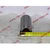 Поршневая группа двигателя CA6DL2-33 d-112 F FAW (ФАВ) L6140000-PJ4P для самосвала фото 5 Орел
