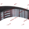 Ремень 8PK1050 водяного насоса ручейковый H3 HOWO (ХОВО) VG2600020253 фото 2 Орел