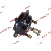 Камера тормозная передняя правая SH F3000 SHAANXI / Shacman (ШАНКСИ / Шакман) 81.51101.6265 фото 2 Орел