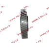 Шестерня привода распредвала промежуточная WD615/WP10 HOWO (ХОВО) VG1560050053/61560050053 фото 3 Орел